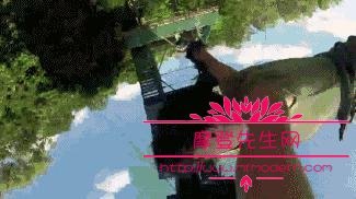 曾志伟在香港的地位为何这么高？曾志伟和曾(曾志伟是香港的吗)