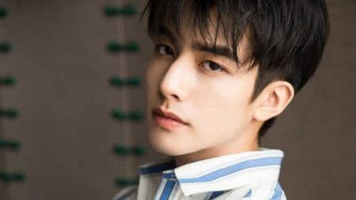 张公案作者反对某演员演张屏说的是谁(张公案电视剧豆瓣)