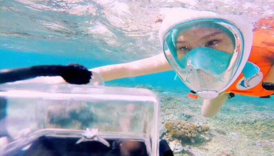 魏晨为什么叫梗王、ccgg(魏晨梗王知乎)