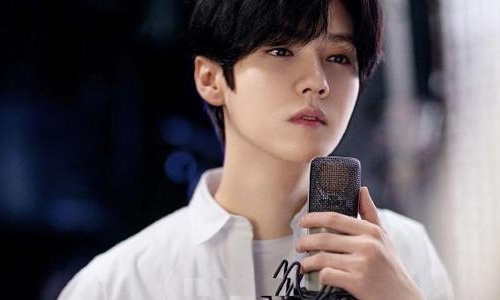 鹿晗追星成功获周杰伦评论(邓伦追星周杰伦)