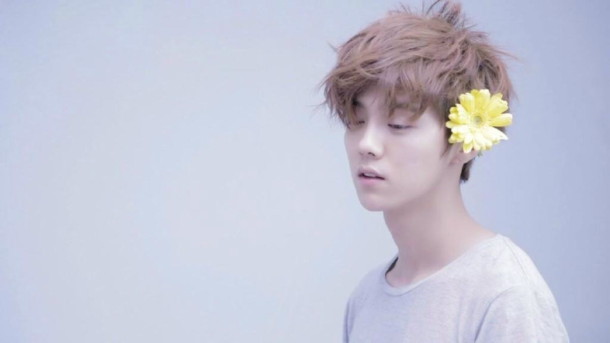 鹿晗追星成功获周杰伦评论(邓伦追星周杰伦)