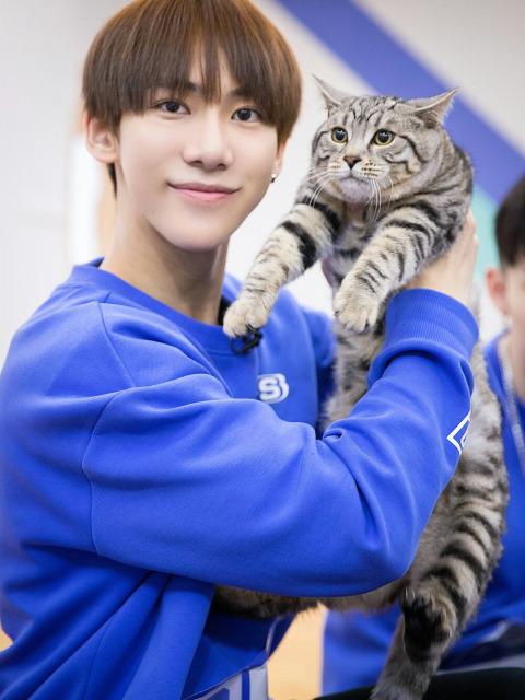 丁泽仁为什么退出sm原因深扒(丁泽仁为什么没有在sm出道) 丁泽仁为什么退出sm原因深扒(丁泽仁为什么没有在sm出道)