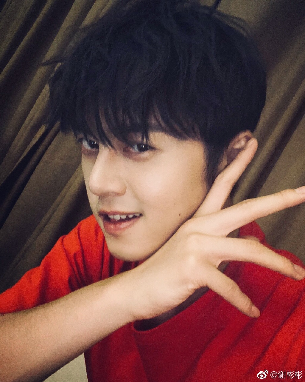 谢彬彬为什么不火演过电视剧有哪些(演员谢彬彬的百度百科)