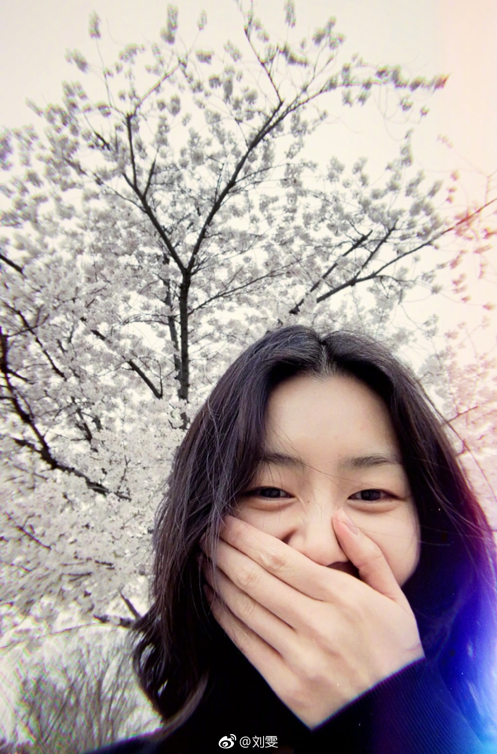 刘雯为什么不割双眼皮(刘雯单眼皮为什么好看)