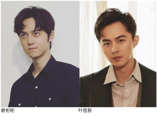 谢彬彬为什么不火演过电视剧有哪些(演员谢彬彬的百度百科)