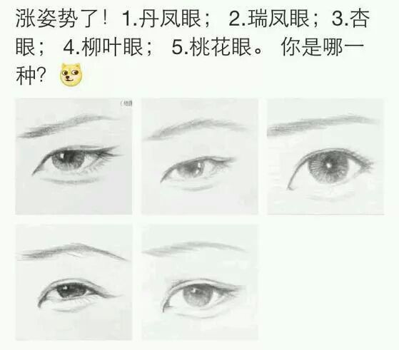 刘雯为什么不割双眼皮(刘雯单眼皮为什么好看)