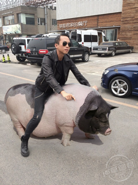 草图君为什么认识很多明星(娱乐圈中草是谁) 草图君为什么认识很多明星(娱乐圈中草是谁)