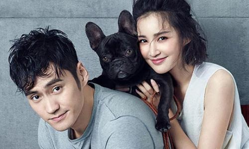 袁弘张歆艺听到自己八卦是怎么回事(袁弘为何看上张歆艺)