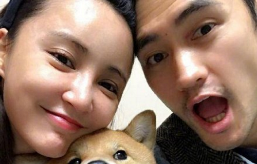 袁弘张歆艺听到自己八卦是怎么回事(袁弘为何看上张歆艺)