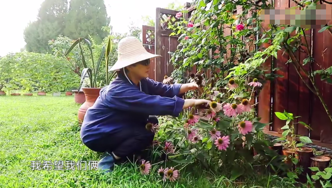 张国立剧组拍戏“封路”(张国立拍戏封路引不满)