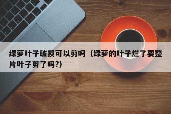 绿萝叶子破损可以剪吗（绿萝的叶子烂了要整片叶子剪了吗?） 