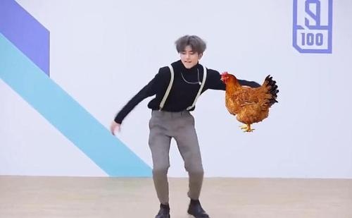 鸡你太美是什么梗和蔡徐坤有什么关系(蔡徐坤鸡你太美出自哪个节目) 鸡你太美是什么梗和蔡徐坤有什么关系(蔡徐坤鸡你太美出自哪个节目)