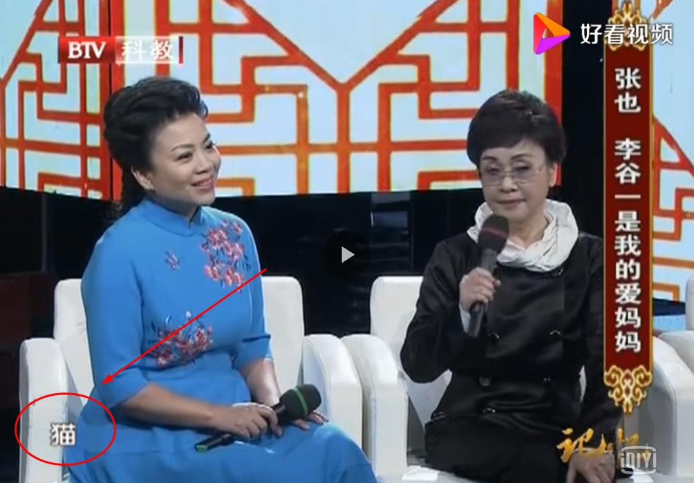 张也为什么叫喵姨