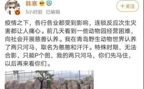 韩寒认养两头河马详细