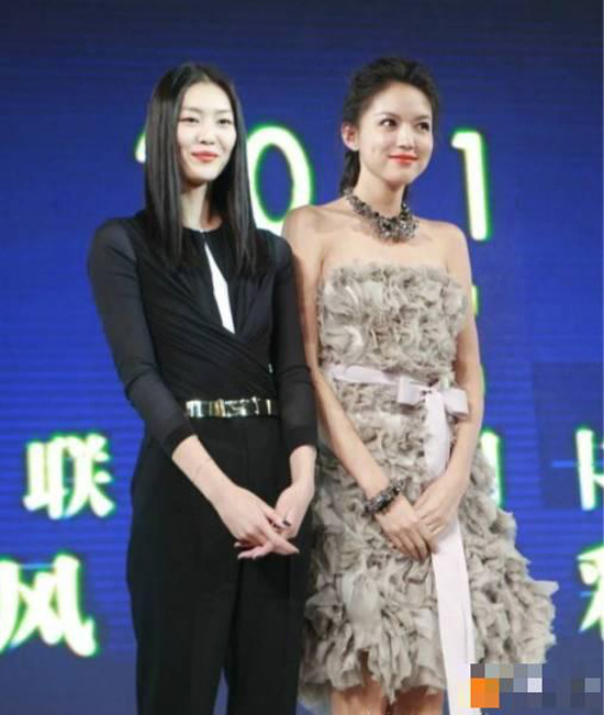 张梓琳的狗yoyo是什么品种的？盘点各大