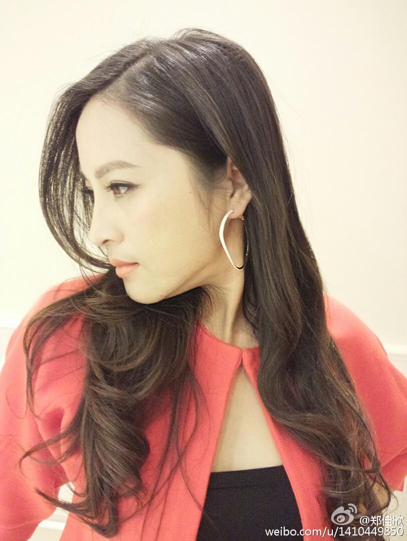 哪些女明星追过苏有朋(苏有朋是一线明星吗)