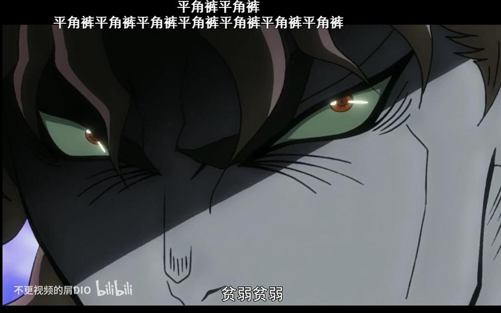 科普:b站的平角裤、买壶、老中医、猜猜我