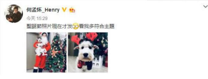 张柏芝现任老公不是何孟怀是炒作