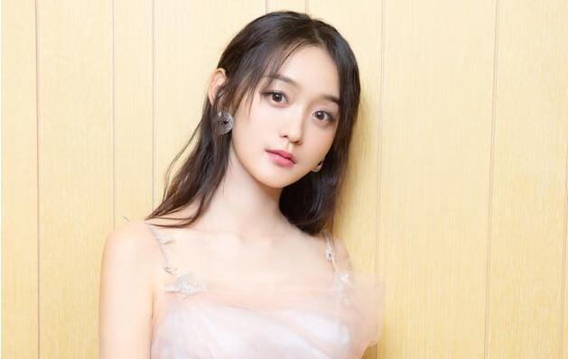 何泓姗匆匆那年被排挤是怎么回事?何泓姗家 何泓姗匆匆那年被排挤是怎么回事?何泓姗家