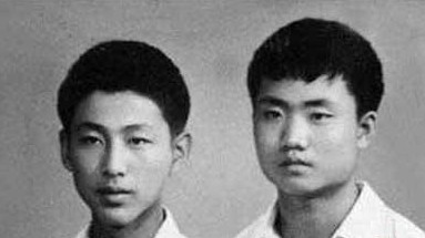 陈道明老婆杜宪照片(陈道明杜宪哪年结婚)