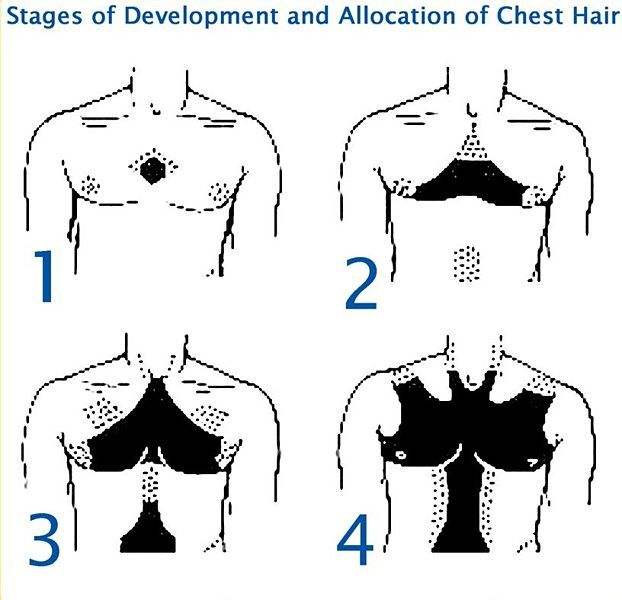 王景春诱骗鹿晗粉丝事件