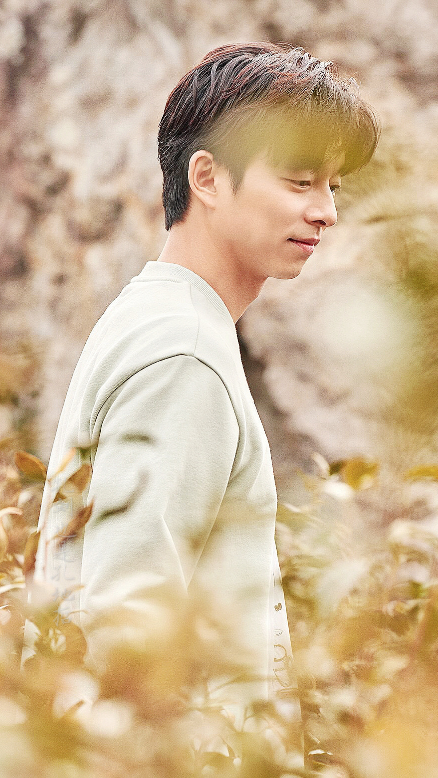 孔刘为什么叫阿加西?孔刘同性恋绯闻是跟谁 孔刘为什么叫阿加西?孔刘同性恋绯闻是跟谁