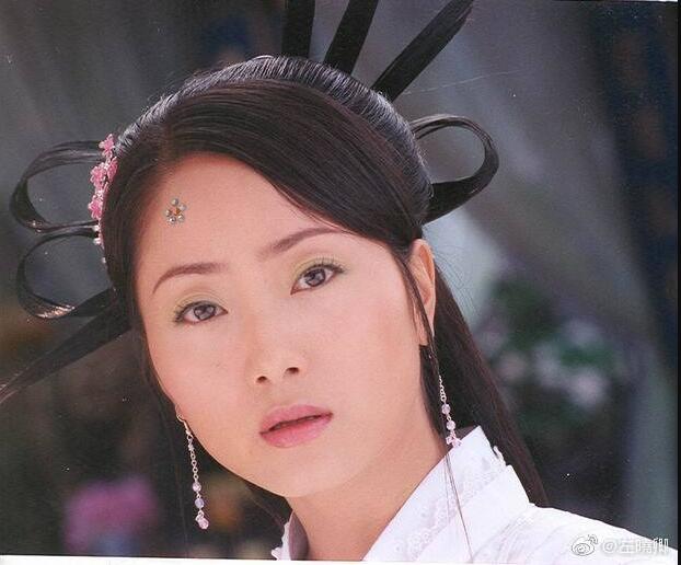 沈傲君在干嘛现在现状如何(沈傲君去哪了)