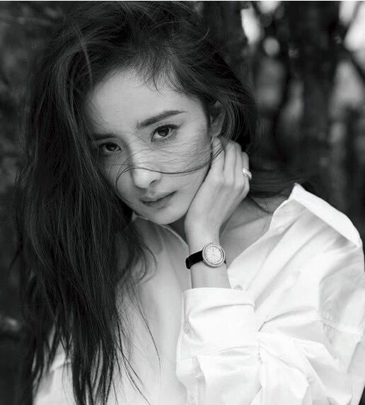 爬墙粉什么意思?(爬墙 粉圈)