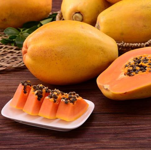 许晓诺为什么这么瘦胸还这么大(许晓诺身高体重) 许晓诺为什么这么瘦胸还这么大(许晓诺身高体重)