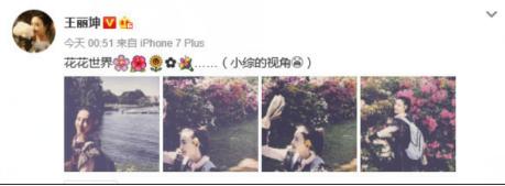 王丽坤和郑元畅是什么关系？王丽坤上快乐大