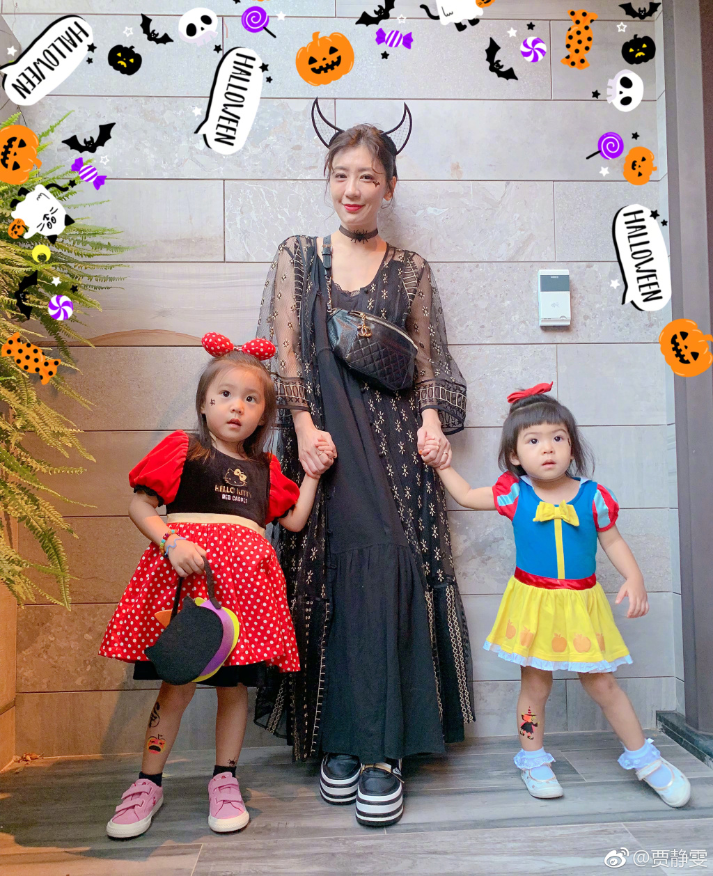 孙翎茜为什么叫梧桐妹