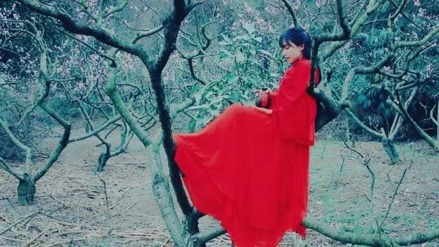 李子柒靠什么赚钱?李子柒经历了啥子事情故