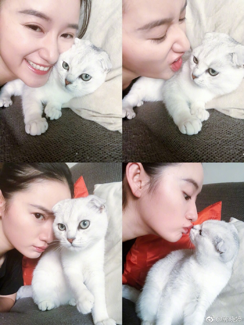 郭晓婷上快乐大本营是哪一期？郭晓婷吴秀波