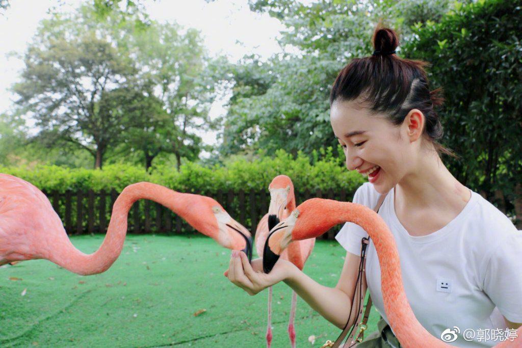 郭晓婷上快乐大本营是哪一期？郭晓婷吴秀波