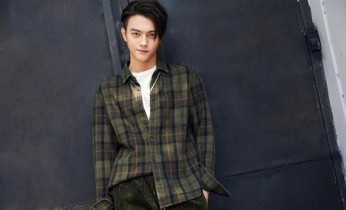 许凯在线追星巩俐失败遭网友调侃