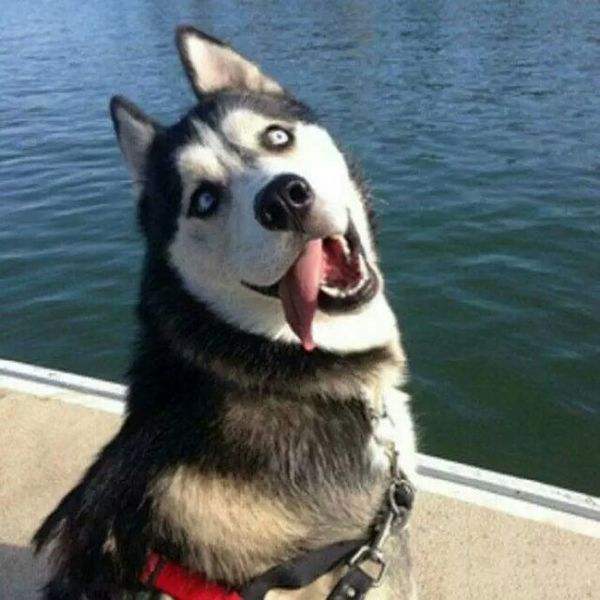 牌牌琦的真名叫李孟琦资料(牌牌琦个人资料的真名)