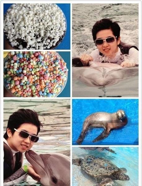 迪拜富二代花式炫富(迪拜人炫富) 迪拜富二代花式炫富(迪拜人炫富)