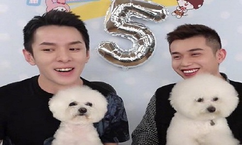 付鹏告别李佳琦选品团队(付鹏告别李佳琦选品团队 小说)