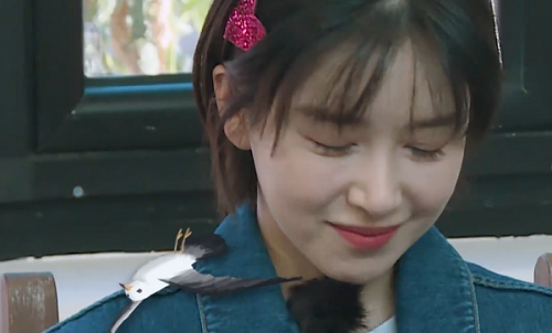 阚清子纪凌尘最新消息遭刘涛曝光(刘涛 阚清子) 阚清子纪凌尘最新消息遭刘涛曝光(刘涛 阚清子)