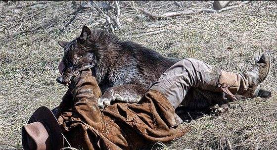 人狼大战的结局是什么？人狼大战的经典台词(人狼大战结局是没看懂)