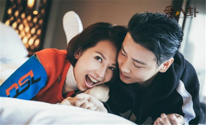 张晋和蔡少芬的爱情故事(张晋蔡少芬因为爱情)