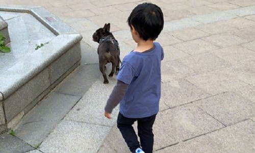 张歆艺分享儿子可爱趣事(张歆艺和儿子) 张歆艺分享儿子可爱趣事(张歆艺和儿子)