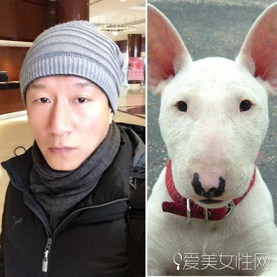 牛头梗犬和孙红雷合照(孙红雷斗牛梗犬图片) 牛头梗犬和孙红雷合照(孙红雷斗牛梗犬图片)