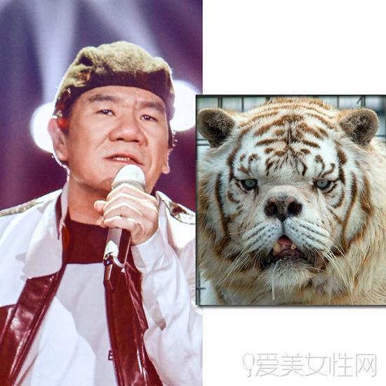 牛头梗犬和孙红雷合照(孙红雷斗牛梗犬图片) 牛头梗犬和孙红雷合照(孙红雷斗牛梗犬图片)