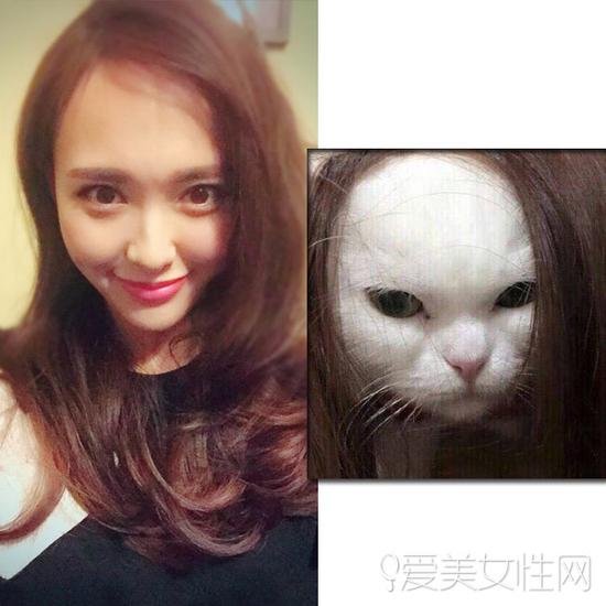 牛头梗犬和孙红雷合照(孙红雷斗牛梗犬图片) 牛头梗犬和孙红雷合照(孙红雷斗牛梗犬图片)