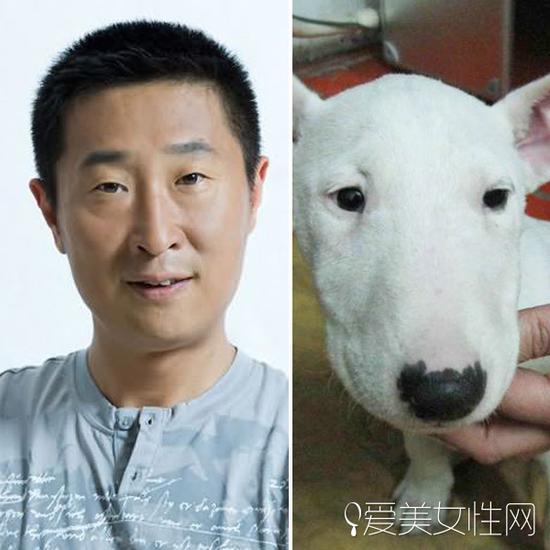 牛头梗犬和孙红雷合照(孙红雷斗牛梗犬图片) 牛头梗犬和孙红雷合照(孙红雷斗牛梗犬图片)