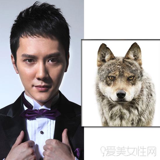 牛头梗犬和孙红雷合照(孙红雷斗牛梗犬图片) 牛头梗犬和孙红雷合照(孙红雷斗牛梗犬图片)