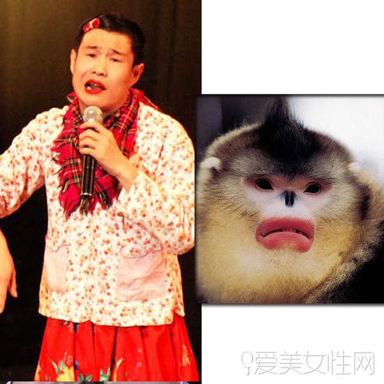 牛头梗犬和孙红雷合照(孙红雷斗牛梗犬图片) 牛头梗犬和孙红雷合照(孙红雷斗牛梗犬图片)