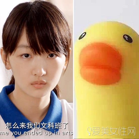 牛头梗犬和孙红雷合照(孙红雷斗牛梗犬图片) 牛头梗犬和孙红雷合照(孙红雷斗牛梗犬图片)