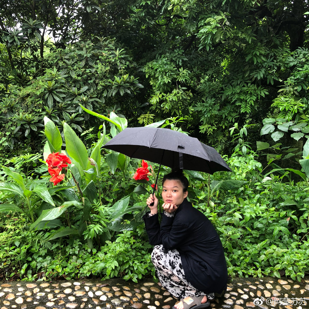 苏运莹结婚了吗现在的状况如何 苏运莹结婚了吗现在的状况如何